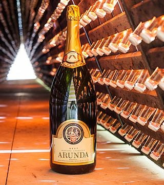 Degustazione di vini e tour ad Arunda