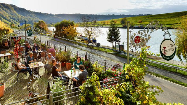 Cata de vinos y visita guiada en Weingut Geierslay