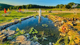 Aquila's Nest Vineyards