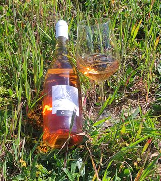 Enjoy Sardinia’s Old Vines with Artisanal Bites