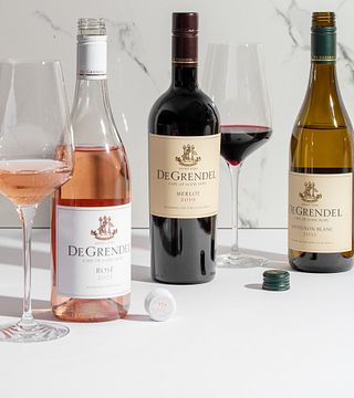 Degustazione premium di vini presso la tenuta vinicola De Grendel