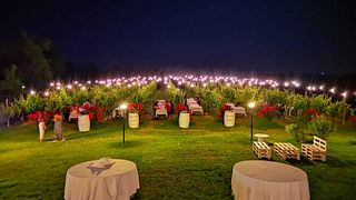 Dégustation et visite des vins de la Società Agricola Podere Riosto