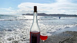 Vinprovningsupplevelse på Dobrá Vinice