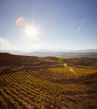 Bodega De Mora, Osborne