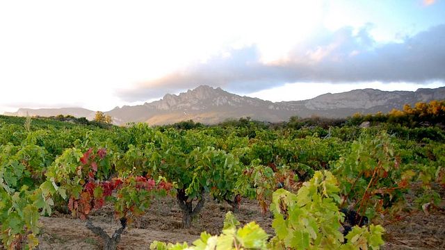 Bodegas Bhilar: A Boutique Winery in Rioja