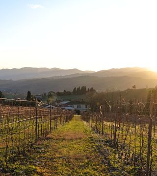 Esperienza nel Chianti Rufina a Villa Travignoli