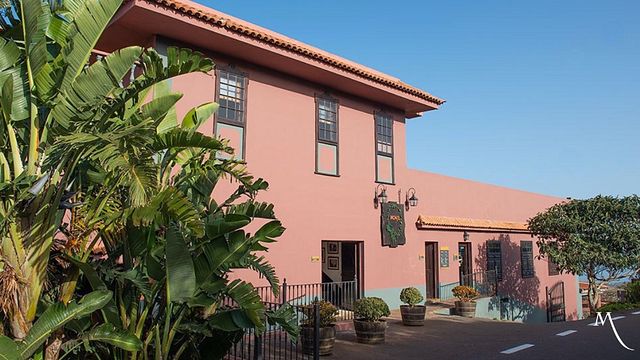 Canary Islands: Ocean vs Land Wine Tasting