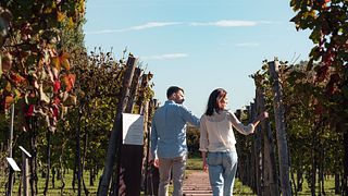 Les domaines de Casa Paladin – Visite et dégustation de vins