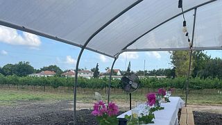 Visita e Degustazione Vini venerdì alle 70 cantina