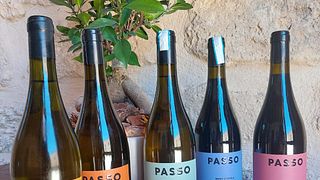 Verkostung von 5 Etiketten der Tenute Baglio Passofondo