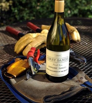 Degustazione di vini e tour al Grey Sands Vineyard