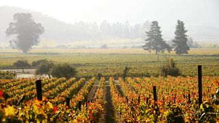 Central Valley Historic Wine & Heritage Tour
