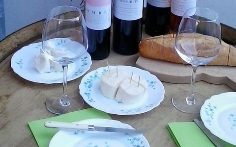 CAMP and WINE