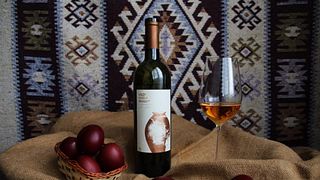 Premium Wine Tasting at Shiukashvili's Wine Cellar