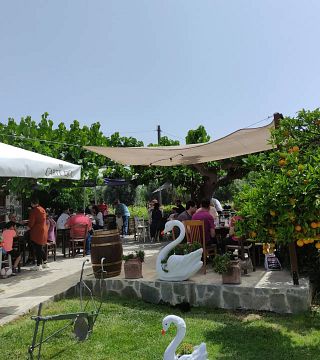 Degustazione di vini nella cantina Skoumpris 