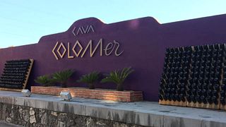 Dégustation et visite de vins à Cava Colomer