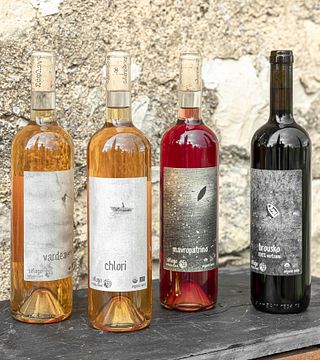 Dégustation de vins artisanaux grecs chez Satyrs « The Cellar »