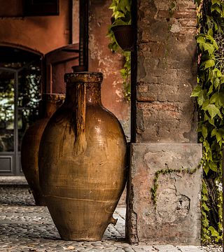 Emilia-Romagna Wine & Vineyard Tour at Cleto Chiarli
