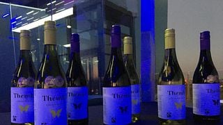 Weinprobe und Tour bei Thembi Wines