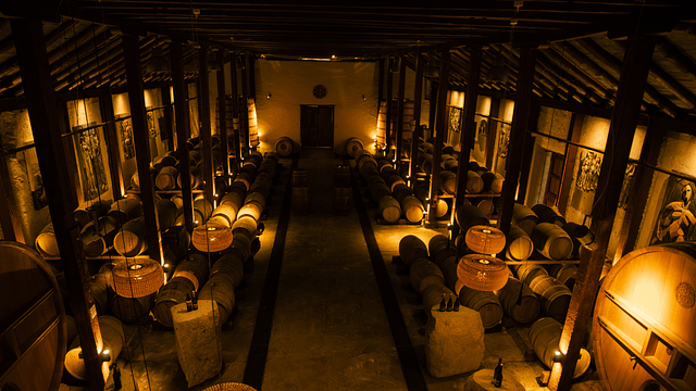 Cata y Tour de Vinos en Viña Santa Berta