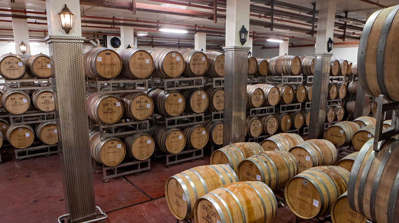 Tour e degustação de vinhos | “90 anos de aromas inebriantes” | Vinícola Binyamina