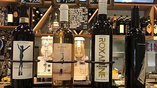 Wine Tasting and Tour at Tenuta Del Palagio