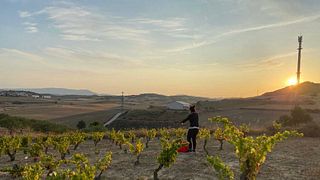 Navarra Wine Adventure at La Casa De Lúculo
