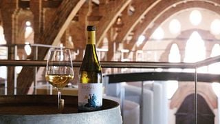 Die Route zwischen den Weinbergen und die Verkostung bei Vinicola De Nulles