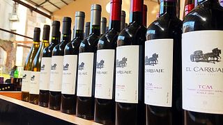 Cata de vinos y visita a Bodega De La Carolina