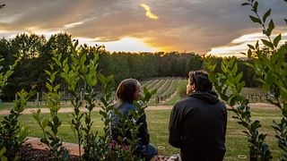 Mountain Brook Vineyards