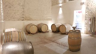 Degustação de vinhos e tour no Chateau Cohola