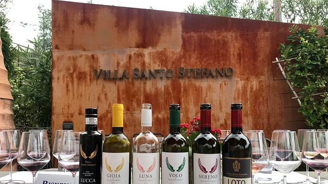 Dégustation de vins et visite à la Villa Santo Stefano -Societa