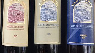 Dégustation de vins et visite à Parmoleto