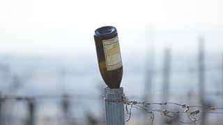 Degustação de vinhos, tour e queijos | Wandraschek Weinmanufaktur
