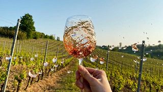 Cata de vinos premium en Bonzano Vini