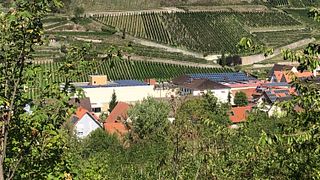 Weingut Bertram Isele