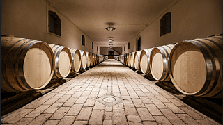Vinprovning och rundtur på Castello del Terriccio