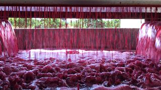 Rodriguez Devera Winery