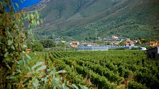 Vinprovning och rundtur på Agriturismo Torre Pernice
