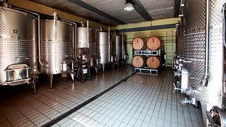 Degustazione Vini a Pierini e Brugi