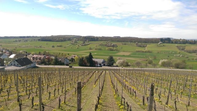 Tour della cantina e degustazione di vini da Rainer Faber