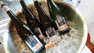 Degustazione di vini e visita al Graben Gritsch Im Donauschlössel