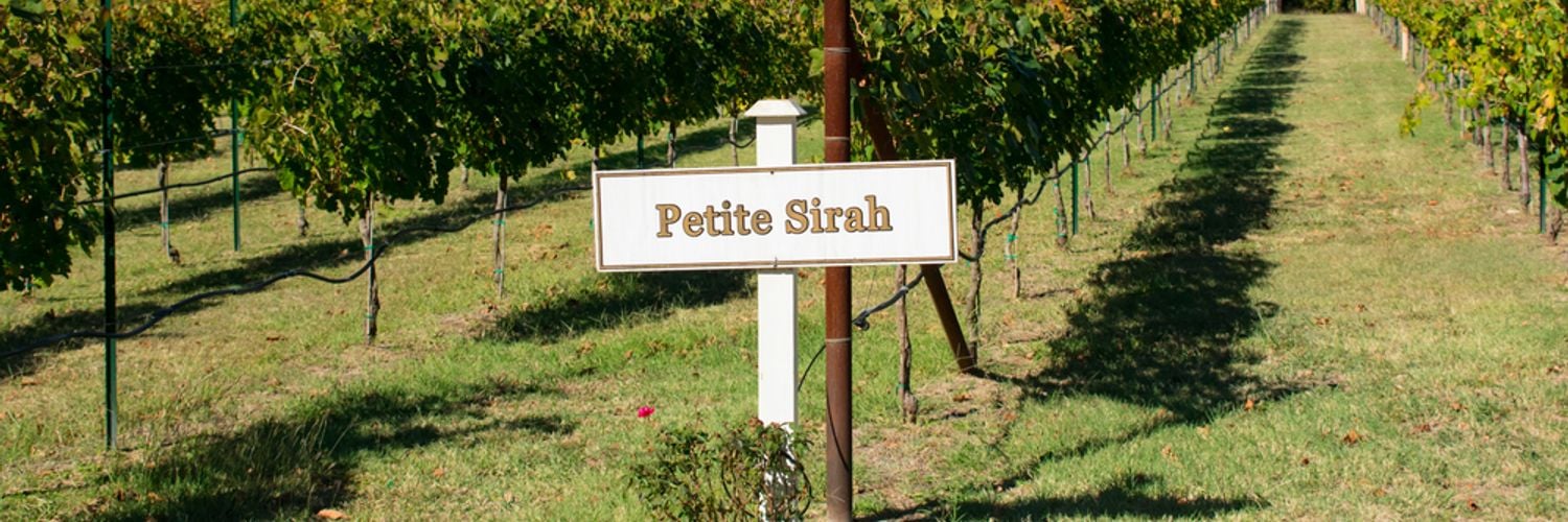 Texas Wine Region