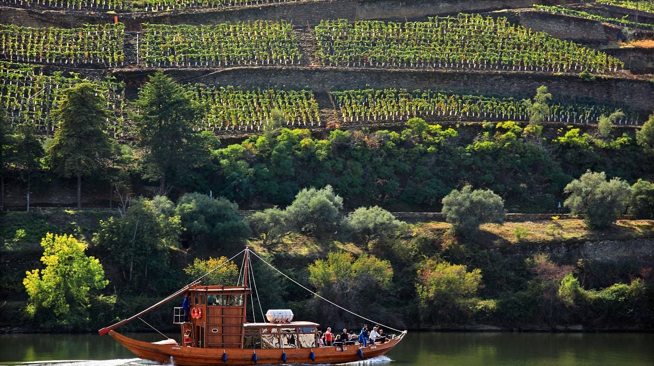 Porto Living Tours' Guides