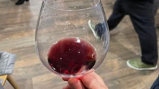 Visite de la ville de Tbilissi et dégustation de vins