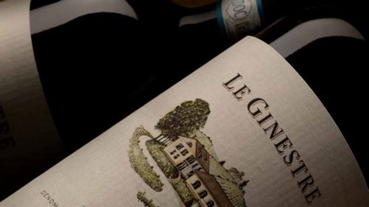 Langhe & Roero: Verkostung von 4 autochthonen piemontesischen Weinen wie Barolo Docg Sottocastello di Novello, Langhe Doc Nebbiolo, Barbera d'Alba Doc und Roero Arneis Docg