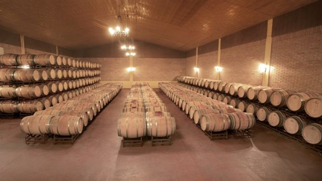 Bodegas Alvia Winery