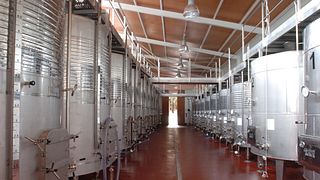 Visita guidata e degustazione di 5 vini al Vinyes Mortitx