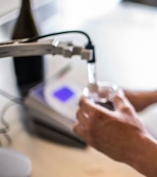 Degustação de vinhos e tour no Il Borghetto-Ventiventi