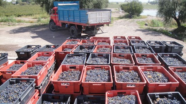 Weinprobe und Tour bei Luminis